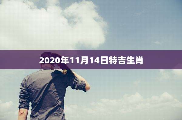 2020年11月14日特吉生肖
