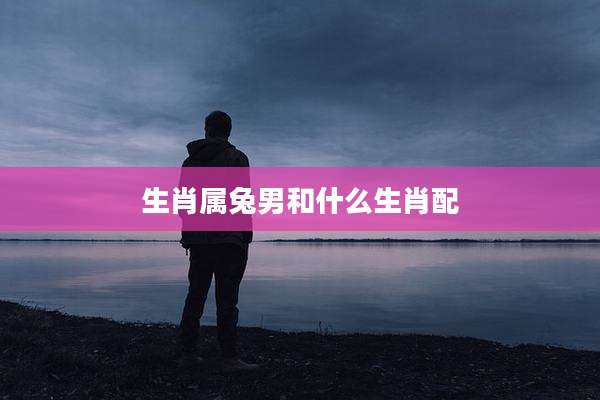 生肖属兔男和什么生肖配
