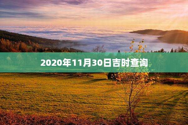 2020年11月30日吉时查询