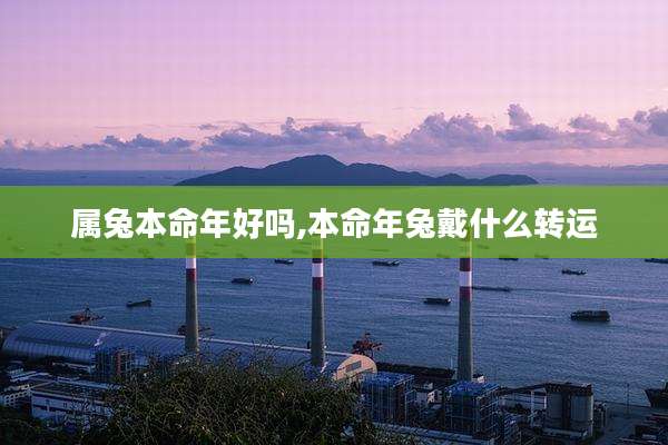 属兔本命年好吗,本命年兔戴什么转运