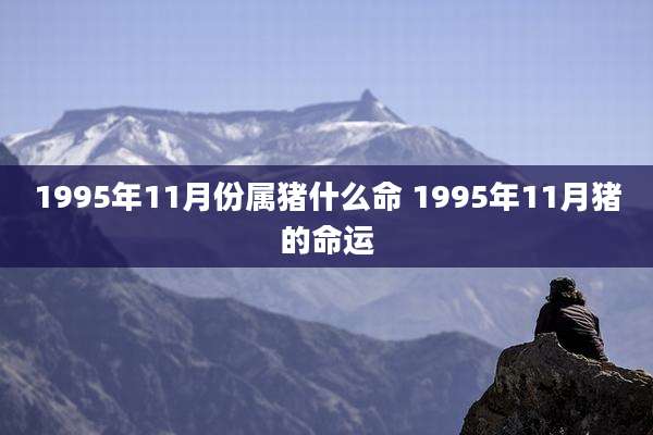 1995年11月份属猪什么命 1995年11月猪的命运