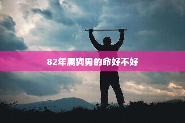 82年属狗男的命好不好