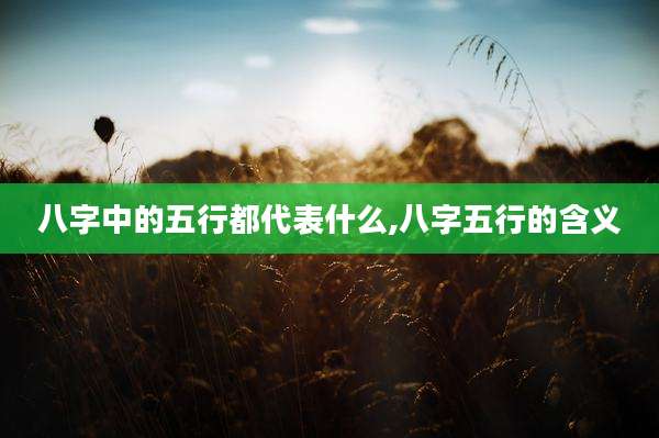八字中的五行都代表什么,八字五行的含义