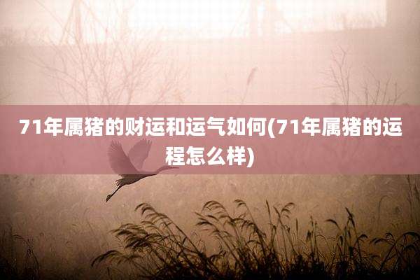 71年属猪的财运和运气如何(71年属猪的运程怎么样)
