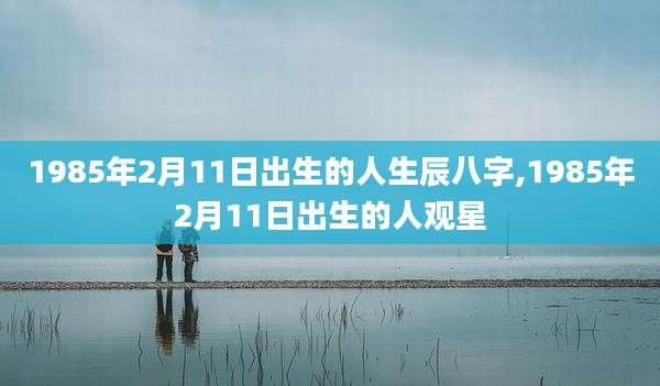 1985年2月11日出生的人生辰八字,1985年2月11日出生的人观星