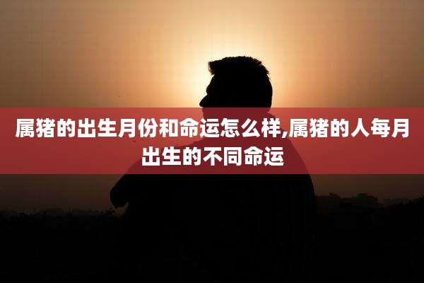 属猪的出生月份和命运怎么样,属猪的人每月出生的不同命运