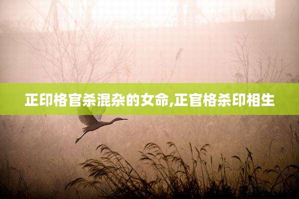 正印格官杀混杂的女命,正官格杀印相生