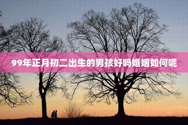 99年正月初二出生的男孩好吗婚姻如何呢