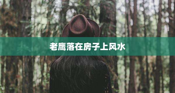 老鹰落在房子上风水