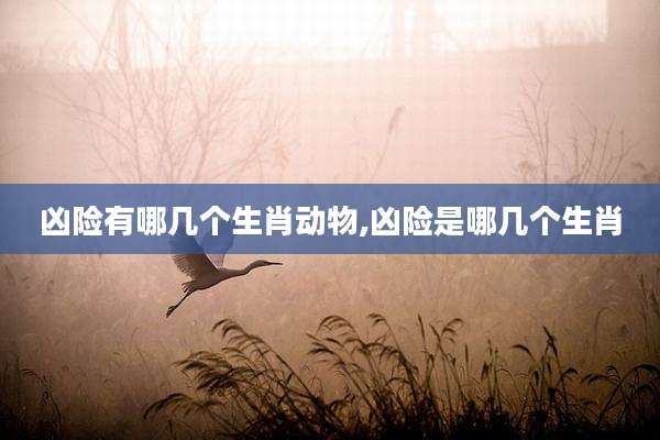 凶险有哪几个生肖动物,凶险是哪几个生肖