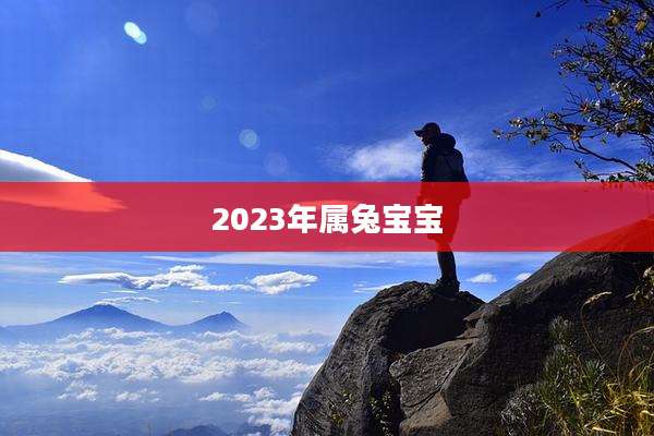 2023年属兔宝宝