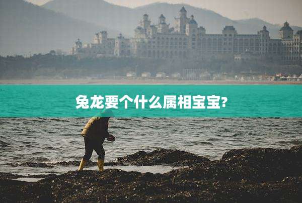 兔龙要个什么属相宝宝?