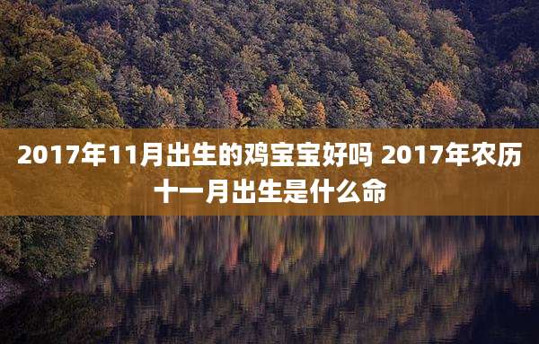 2017年11月出生的鸡宝宝好吗 2017年农历十一月出生是什么命
