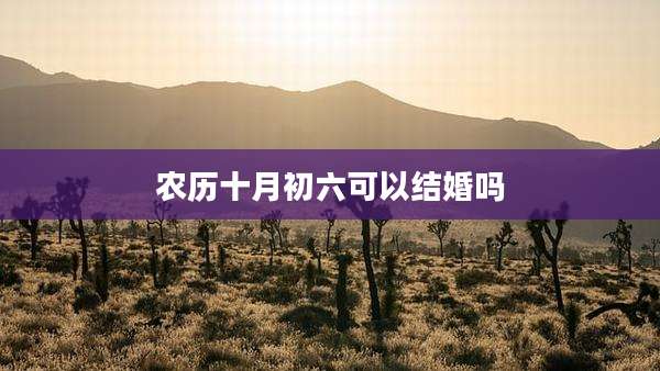 农历十月初六可以结婚吗
