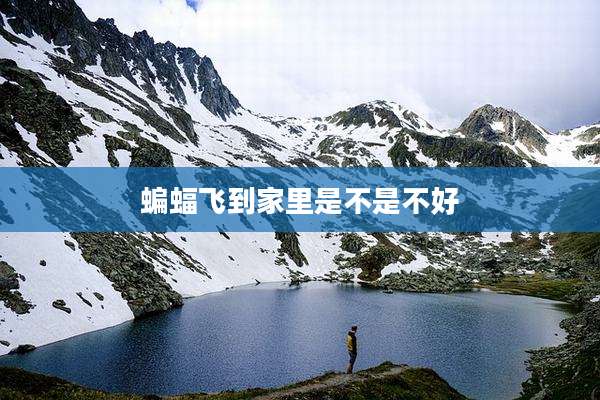 蝙蝠飞到家里是不是不好