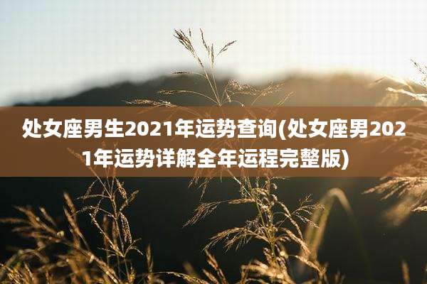 处女座男生2021年运势查询(处女座男2021年运势详解全年运程完整版)