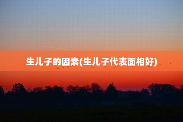 生儿子的因素(生儿子代表面相好)