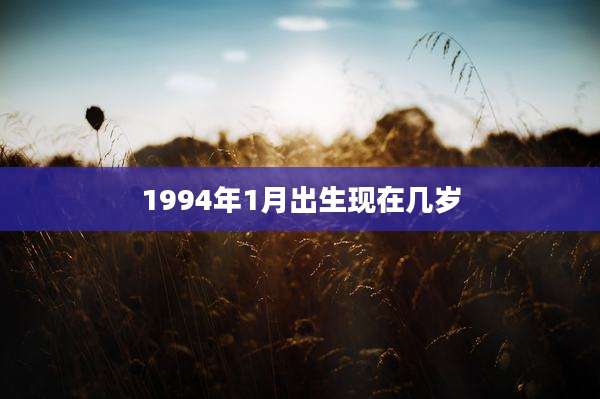 1994年1月出生现在几岁