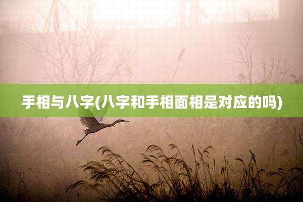 手相与八字(八字和手相面相是对应的吗)