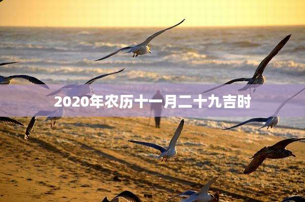 2020年农历十一月二十九吉时