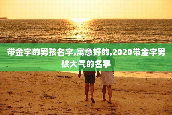 带金字的男孩名字,寓意好的,2020带金字男孩大气的名字