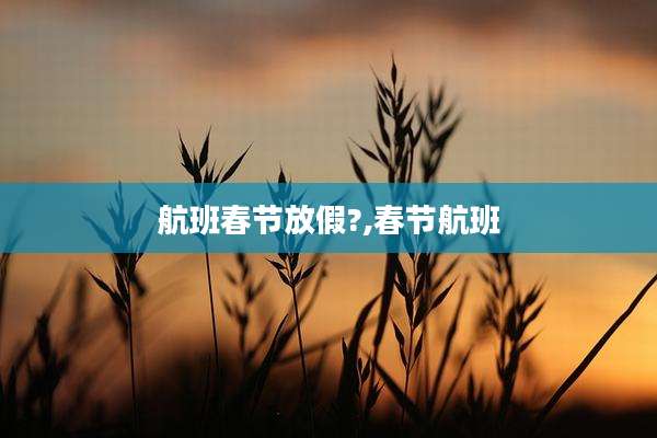 航班春节放假?,春节航班
