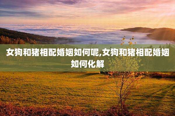 女狗和猪相配婚姻如何呢,女狗和猪相配婚姻如何化解