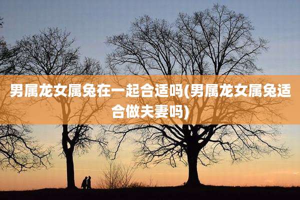 男属龙女属兔在一起合适吗(男属龙女属兔适合做夫妻吗)