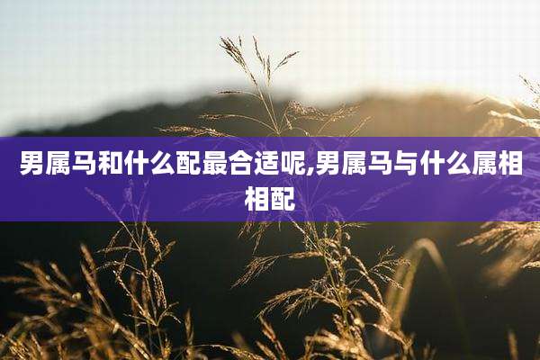 男属马和什么配最合适呢,男属马与什么属相相配
