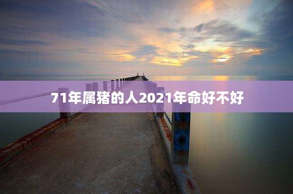 71年属猪的人2021年命好不好