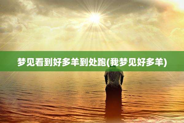 梦见看到好多羊到处跑(我梦见好多羊)