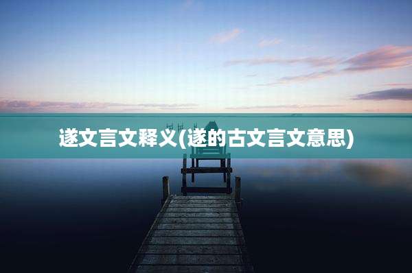遂文言文释义(遂的古文言文意思)