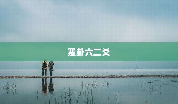 蹇卦六二爻