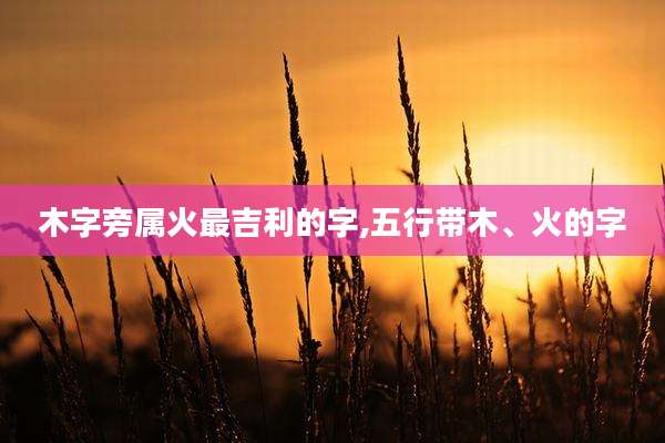 木字旁属火最吉利的字,五行带木、火的字