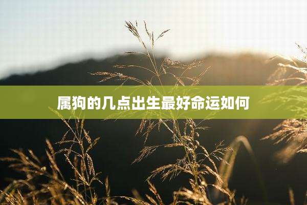 属狗的几点出生最好命运如何
