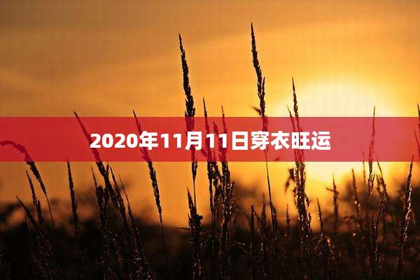2020年11月11日穿衣旺运