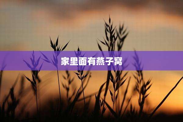 家里面有燕子窝