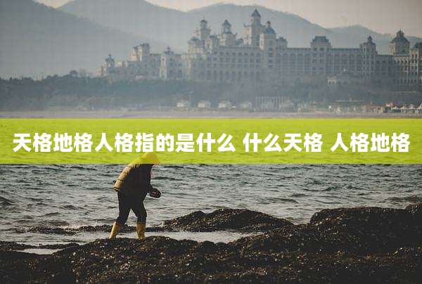 天格地格人格指的是什么 什么天格 人格地格