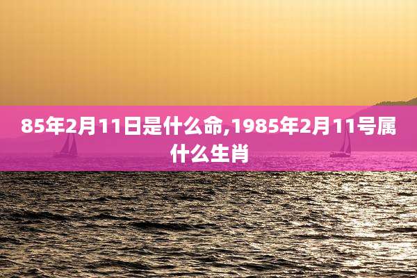 85年2月11日是什么命,1985年2月11号属什么生肖