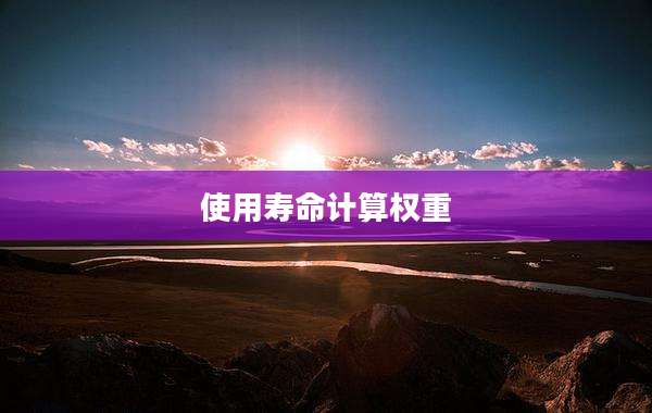 使用寿命计算权重