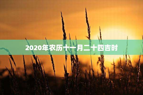 2020年农历十一月二十四吉时