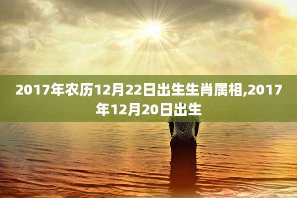 2017年农历12月22日出生生肖属相,2017年12月20日出生