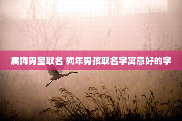 属狗男宝取名 狗年男孩取名字寓意好的字