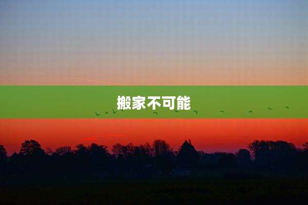 搬家不可能