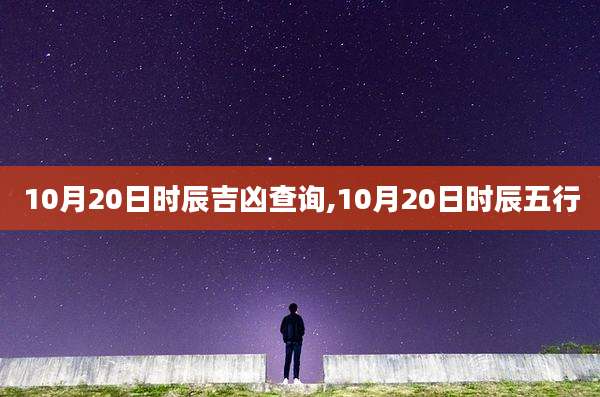 10月20日时辰吉凶查询,10月20日时辰五行