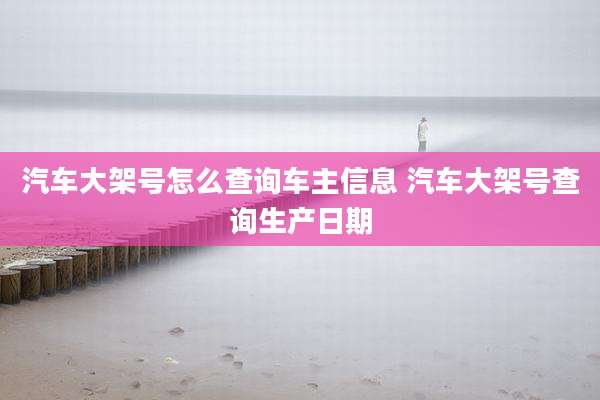 汽车大架号怎么查询车主信息 汽车大架号查询生产日期