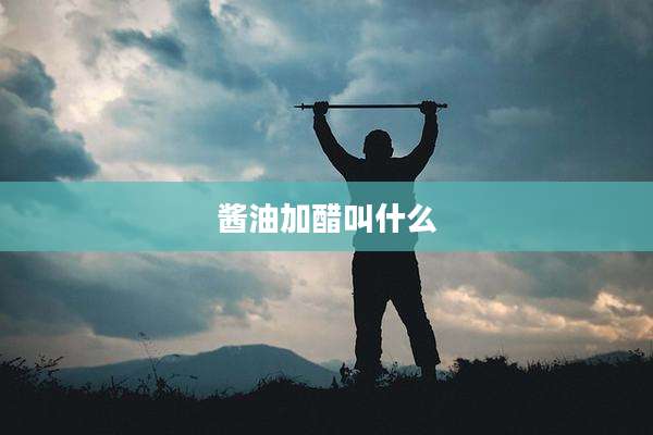 酱油加醋叫什么