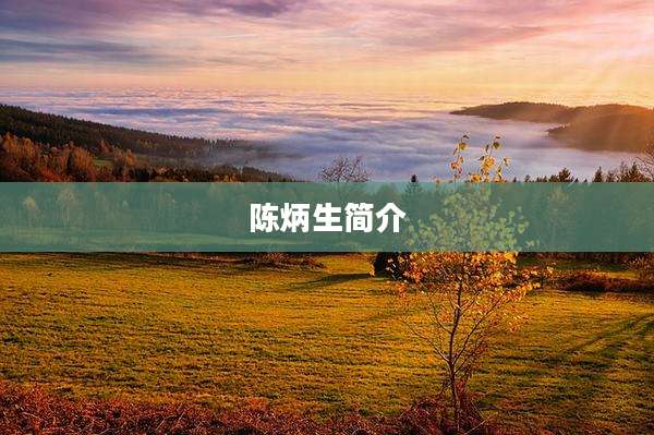 陈炳生简介