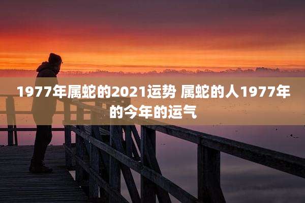 1977年属蛇的2021运势 属蛇的人1977年的今年的运气