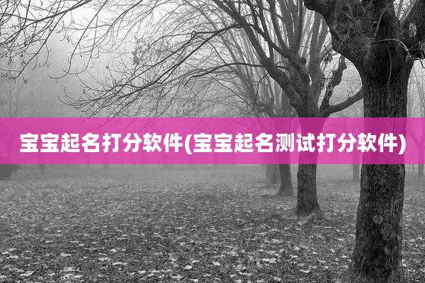 宝宝起名打分软件(宝宝起名测试打分软件)